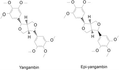 In vitro leishmanicidal effect of Yangambin and Epi-yangambin lignans isolated from Ocotea fasciculata (Nees) Mez